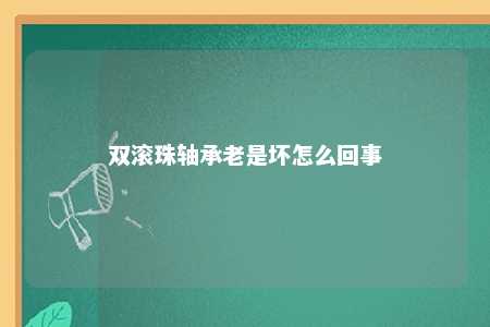 双滚珠轴承老是坏怎么回事 