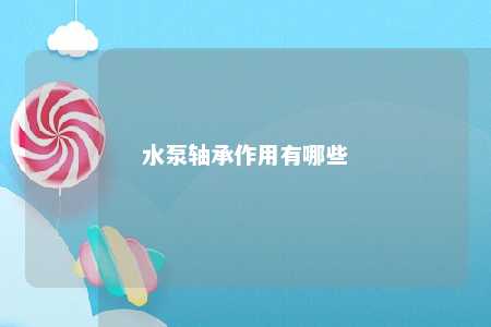 水泵轴承作用有哪些 